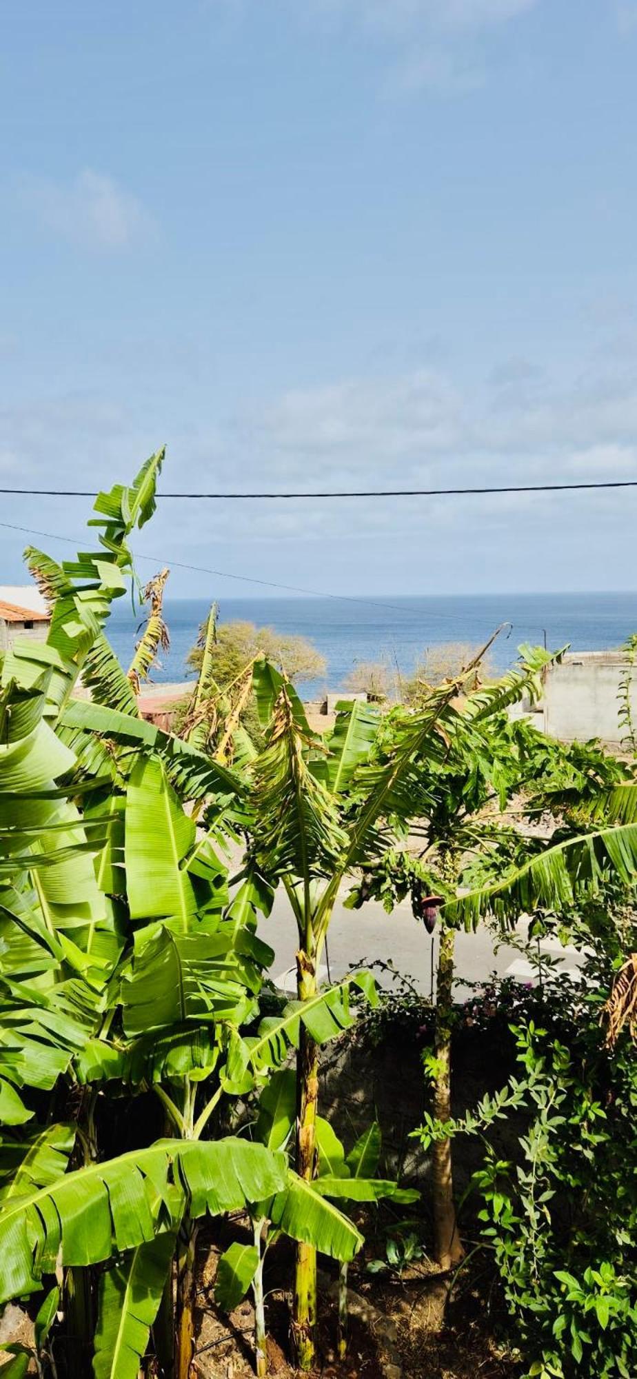 Ribeira da PrataCasa Chiquinhaアパートメント エクステリア 写真